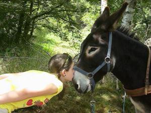 donkey-trekking_5