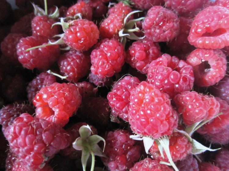 raspberries